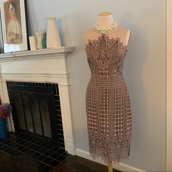 BCBG MaxAzria blush & black lace dress NEW nude - Picture 11 of 16